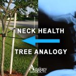 Neck Health Tree Analogy